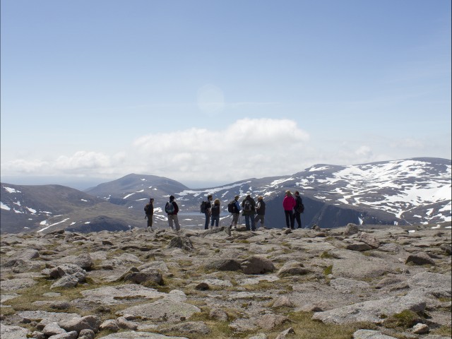 Head to the peaks of the Cairngorm National Park on a guided ranger walk to learn more about the wildlife, environment and nature of this wild and remote part of Scotland image